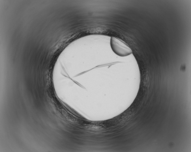 X0000115640743200912221310