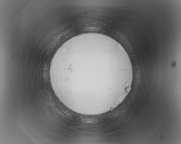 X0000115640745200912221310