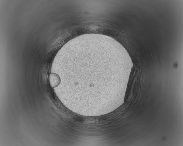 X0000115640746200912221310