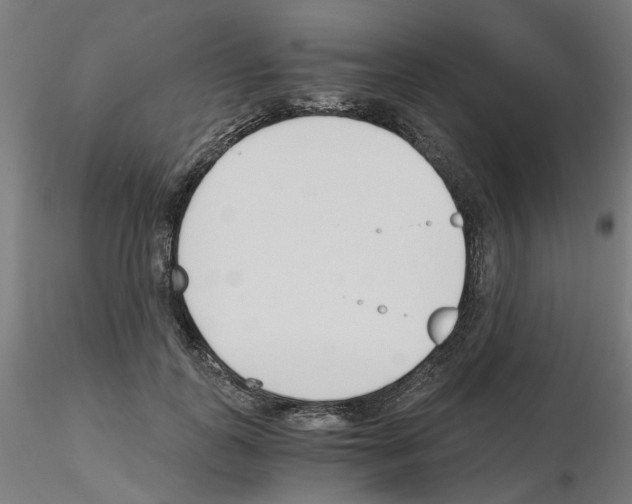 X0000115640747200912221310