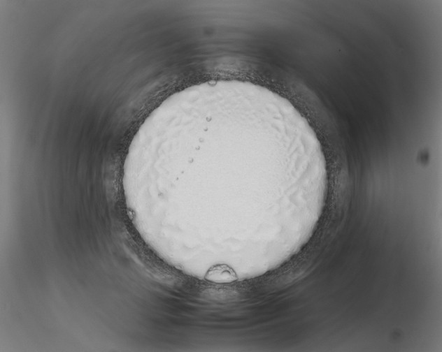 X0000115640749200912221310