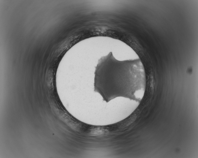 X0000115640754200912221310