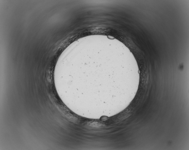 X0000115640755200912221310