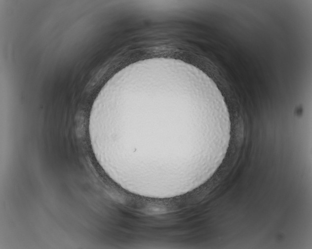 X0000115640757200912221310