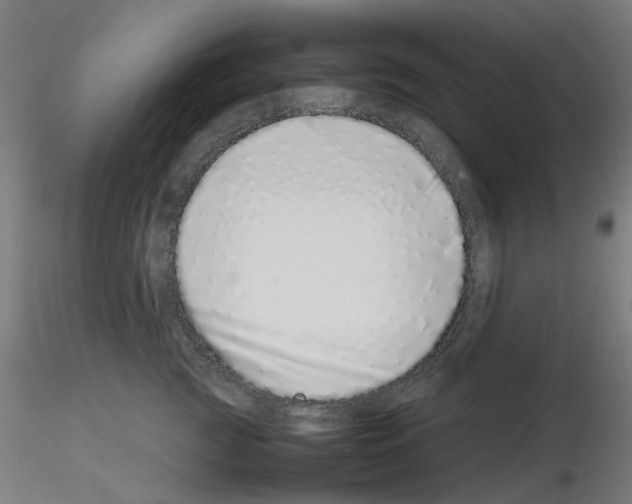 X0000115640761200912221310
