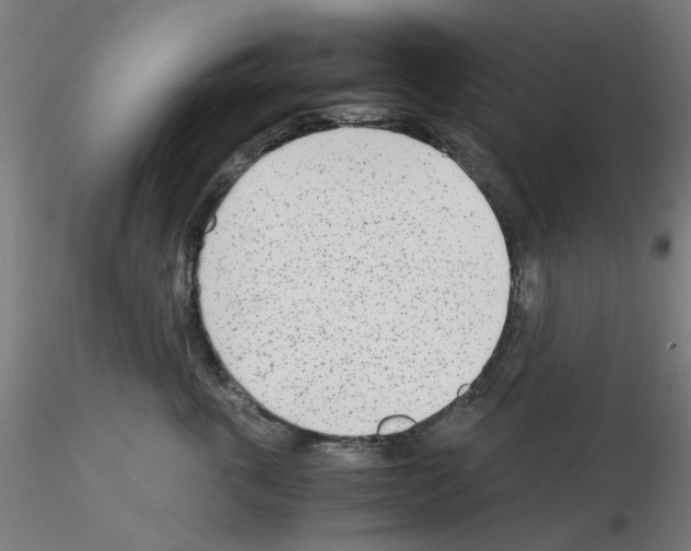 X0000115640763200912221310
