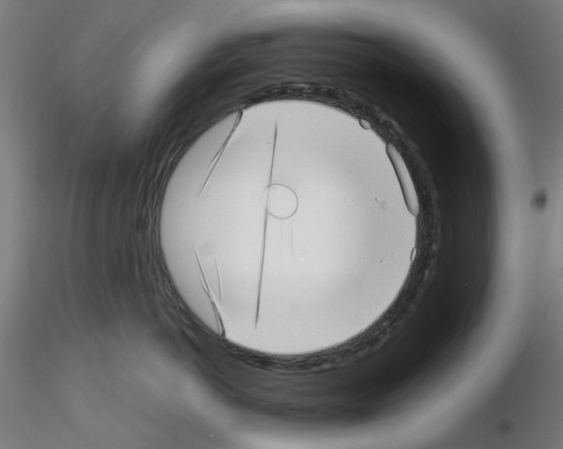 X0000115640766200912221310