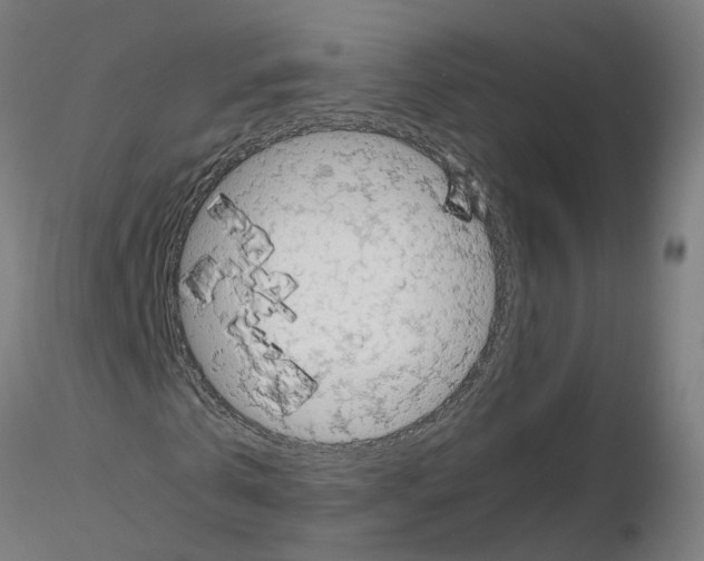 X0000115640769200912221309