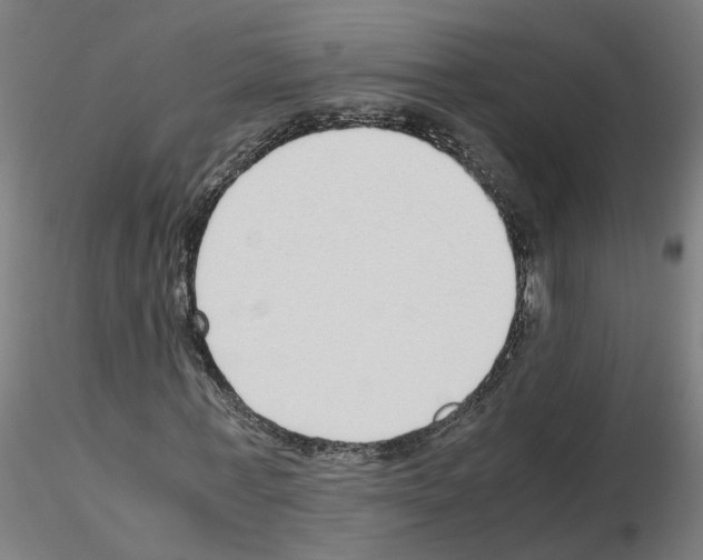 X0000115640771200912221309
