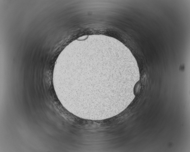 X0000115640772200912221309