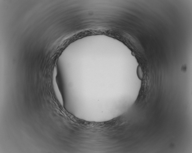 X0000115640773200912221309