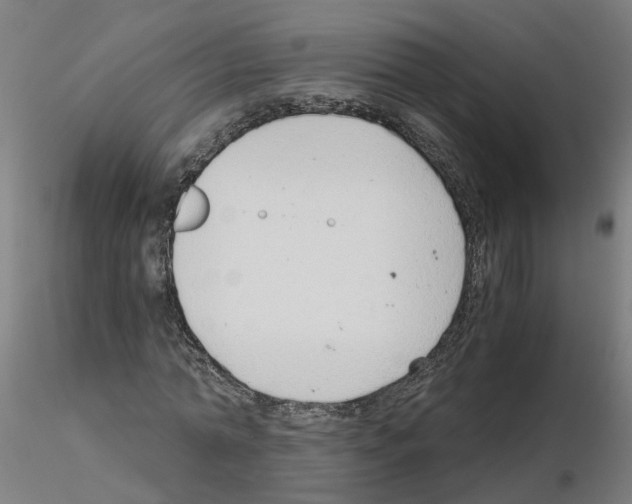 X0000115640774200912221309