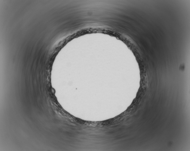X0000115640775200912221309