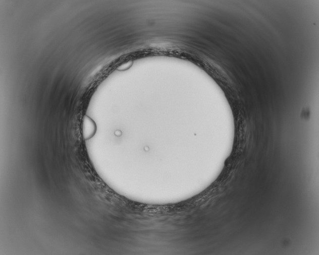 X0000115640776200912221309