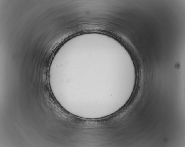 X0000115640777200912221309