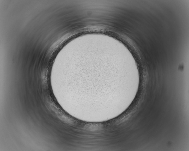X0000115640778200912221309