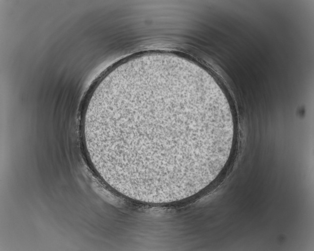 X0000115640779200912221309