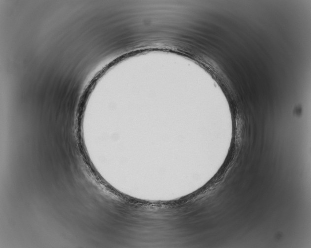 X0000115640780200912221309