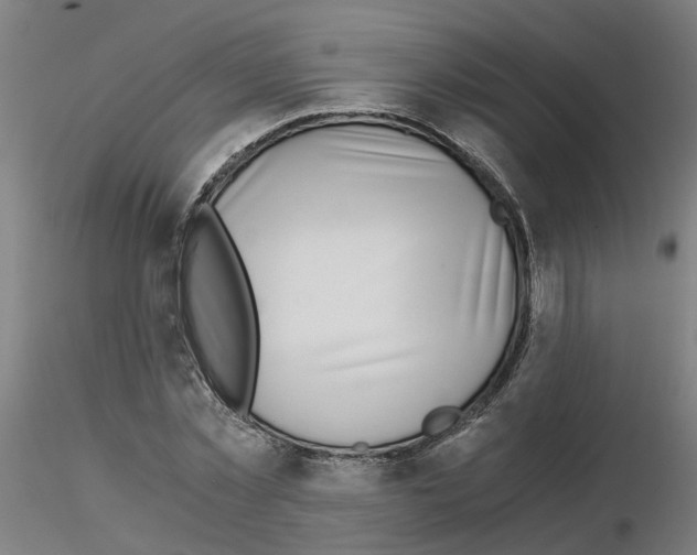 X0000115640781200912221309