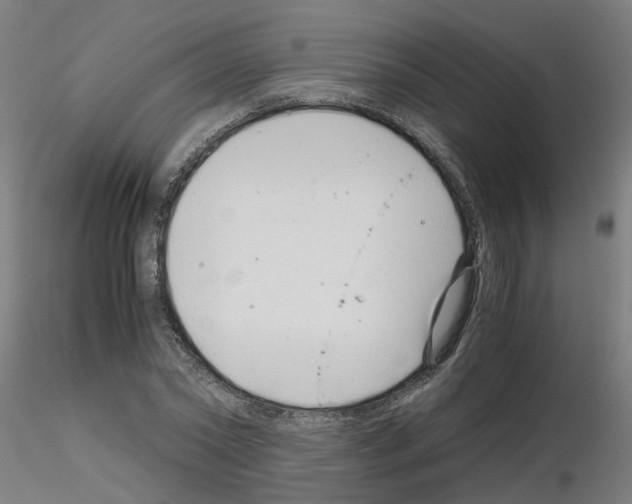 X0000115640782200912221309