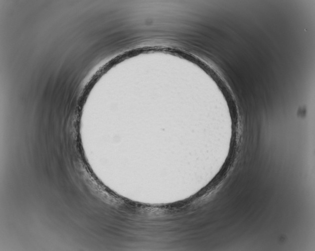 X0000115640783200912221309