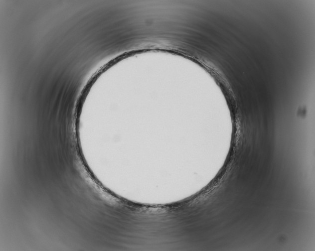 X0000115640784200912221309