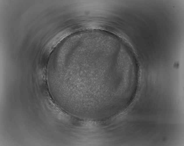 X0000115640785200912221309