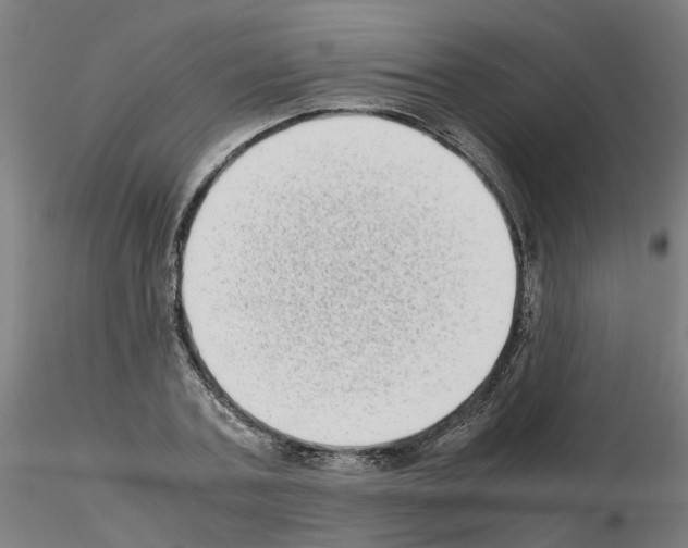 X0000115640787200912221309