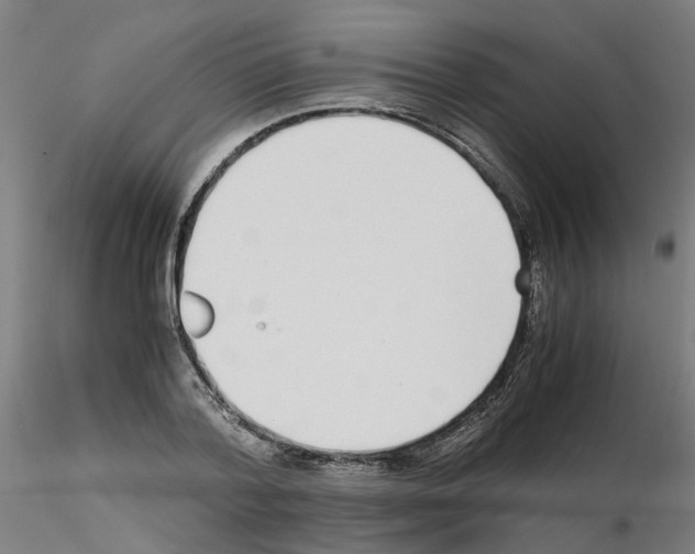 X0000115640788200912221309