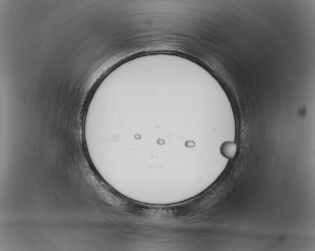 X0000115640789200912221309