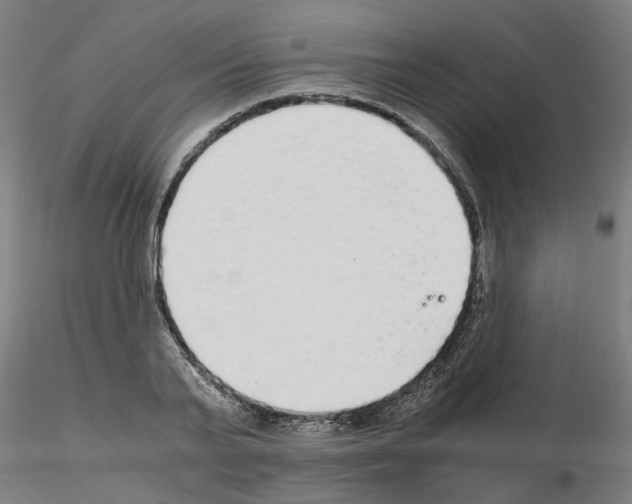 X0000115640791200912221309