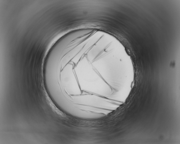 X0000115640792200912221309