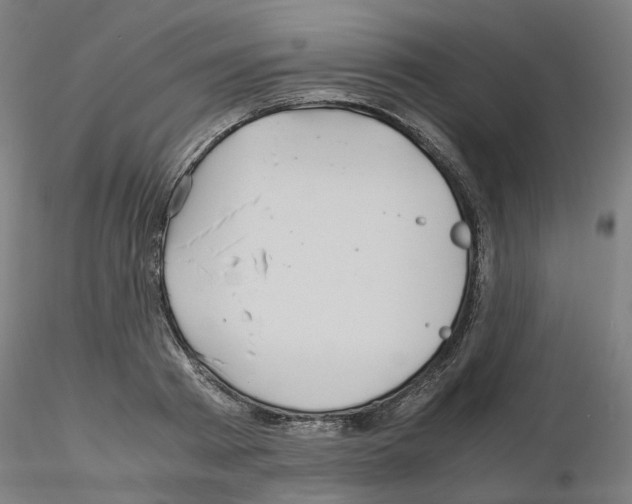 X0000115640793200912221309