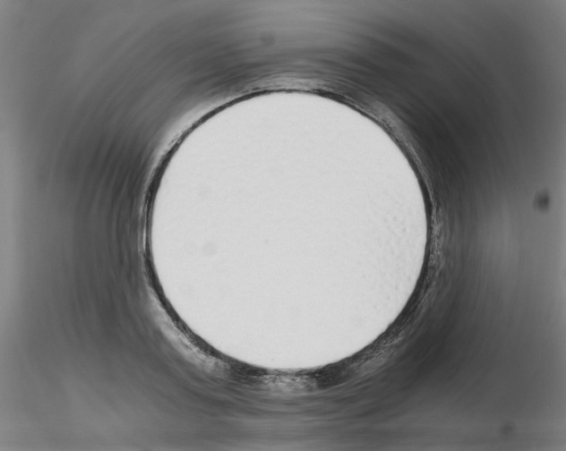 X0000115640795200912221309