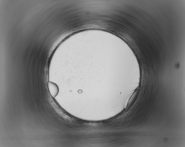 X0000115640796200912221309