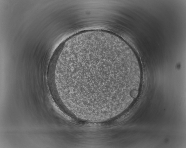 X0000115640797200912221309