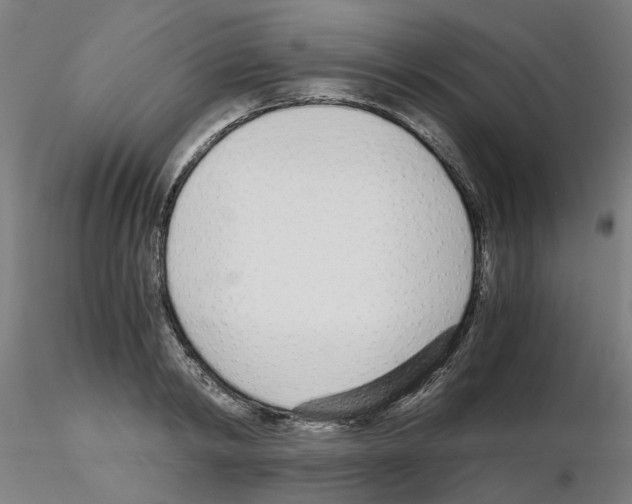 X0000115640798200912221309