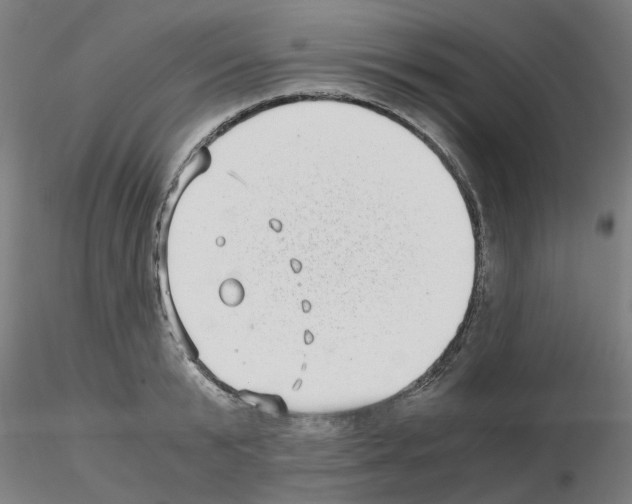 X0000115640799200912221309