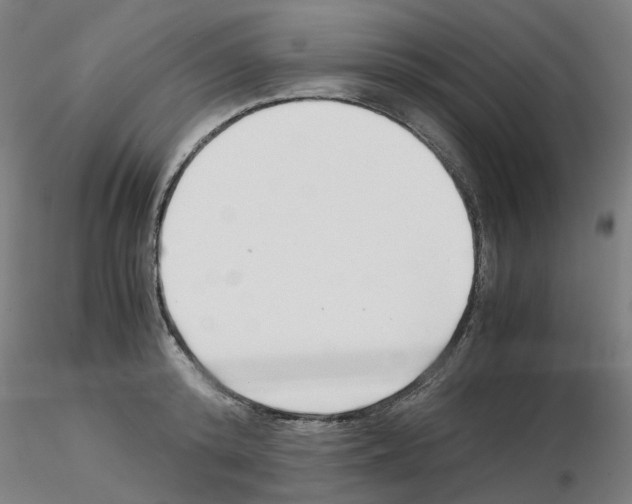 X0000115640800200912221309