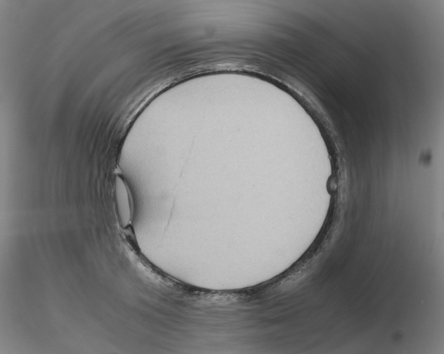 X0000115640801200912221309