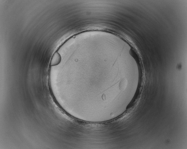 X0000115640802200912221309