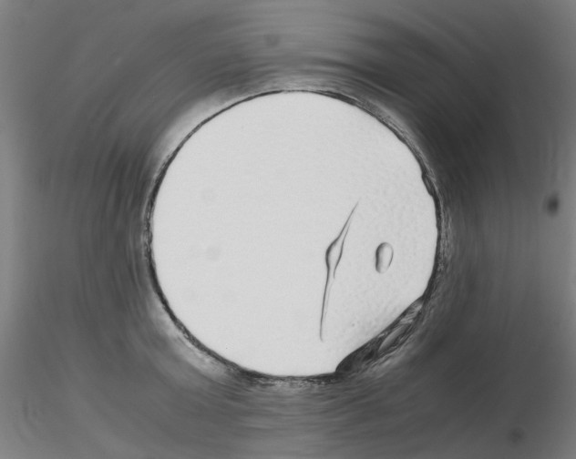 X0000115640803200912221309