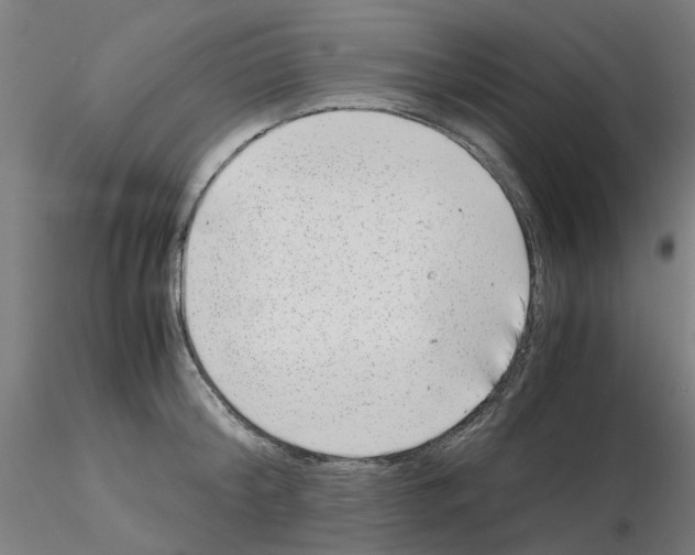 X0000115640804200912221309