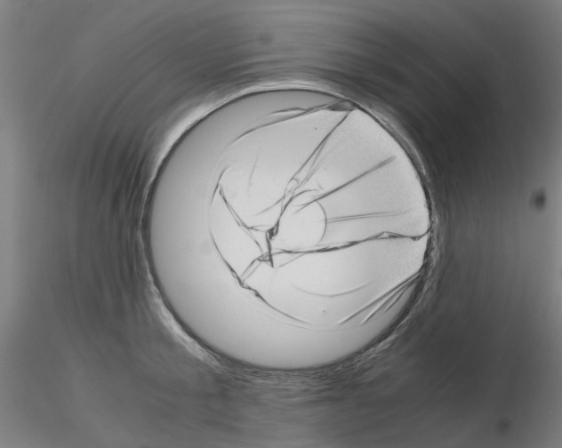 X0000115640805200912221309