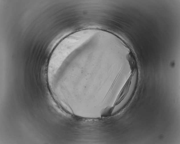 X0000115640806200912221309
