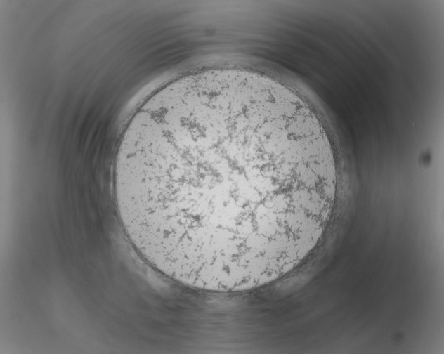 X0000115640807200912221309