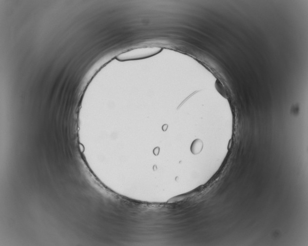 X0000115640808200912221309
