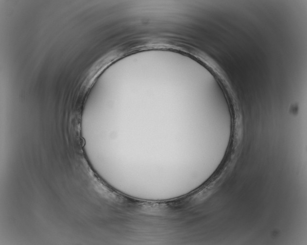 X0000115640809200912221309