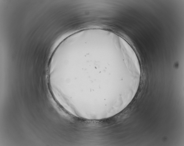 X0000115640811200912221309