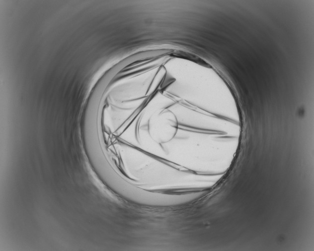 X0000115640813200912221309